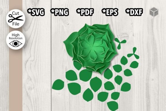 Fluffy Succulent Template 3D SVG